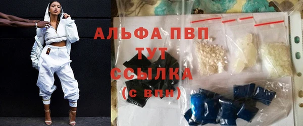 мяу мяу мука Абаза