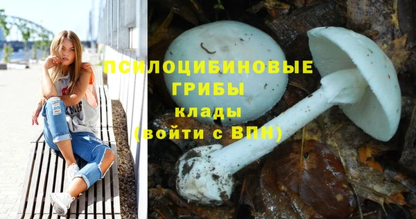 МДПВ Абинск