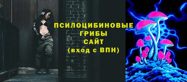 мяу мяу мука Абаза