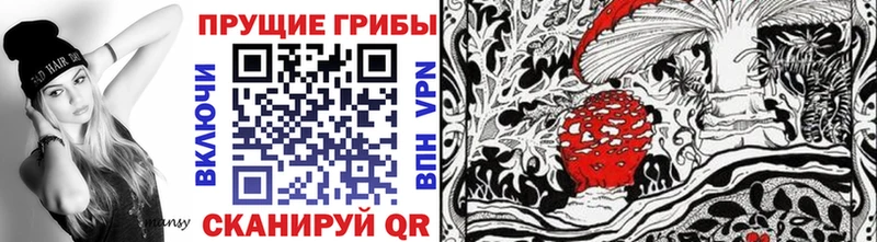 Галлюциногенные грибы Psilocybine cubensis Нижняя Тура
