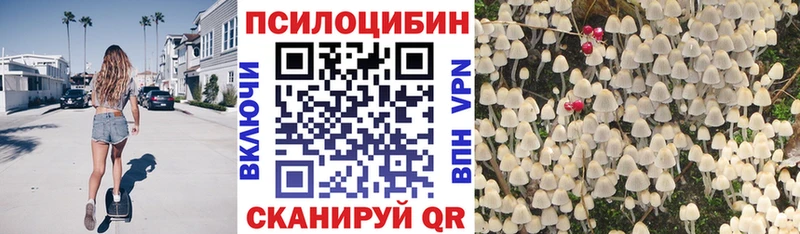 наркошоп  Нижняя Тура  MEGA ссылки  Псилоцибиновые грибы мицелий 